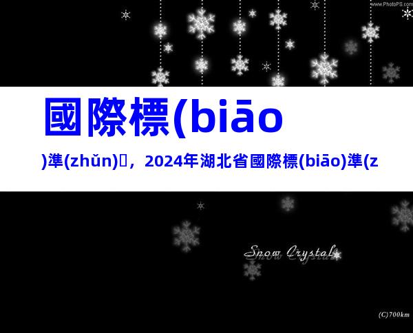 國際標(biāo)準(zhǔn)，2024年湖北省國際標(biāo)準(zhǔn)研制資助申報條件、辦理流程